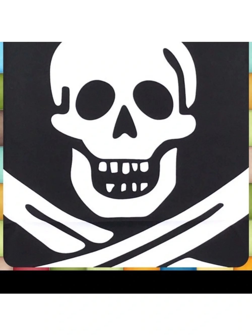 NEW Large Black JOLLY ROGER PIRATE FLAG 37x25 Wall Hanging Skull & Crossbones